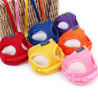 Soft Breathable Small Pet Collar