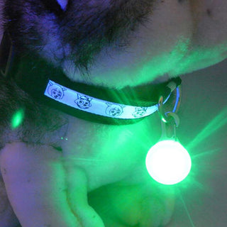 Glowing Collar Accessories