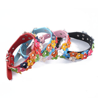 Fashion Leather Pet Collar