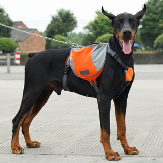 Harness For Large Dogs