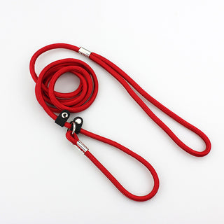 Christmas Gifts Dog Leash Collar