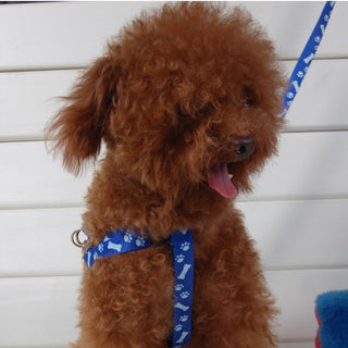 Adjustable Pet Nylon Harness