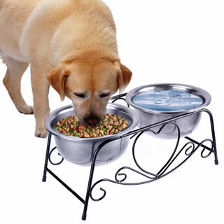 Stainless Steel Pet Double Bowls