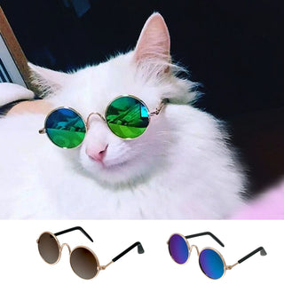 Fashion Cat Sunglasses